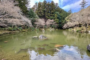Pond at Narita-san Park