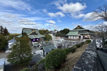 成田山庭院的俯视图