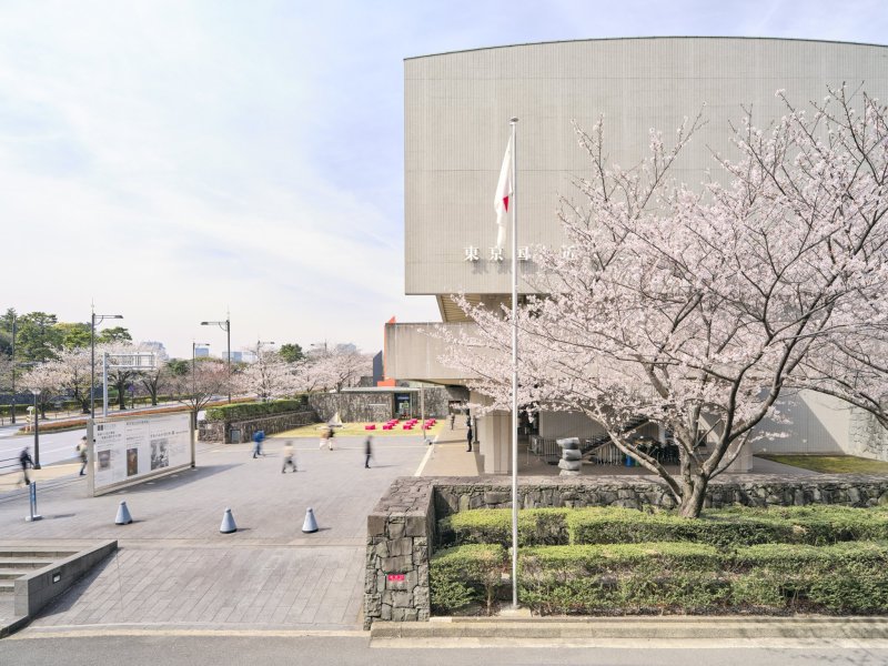 Cherry blossoms beside the National Museum of Modern Art, Tokyo