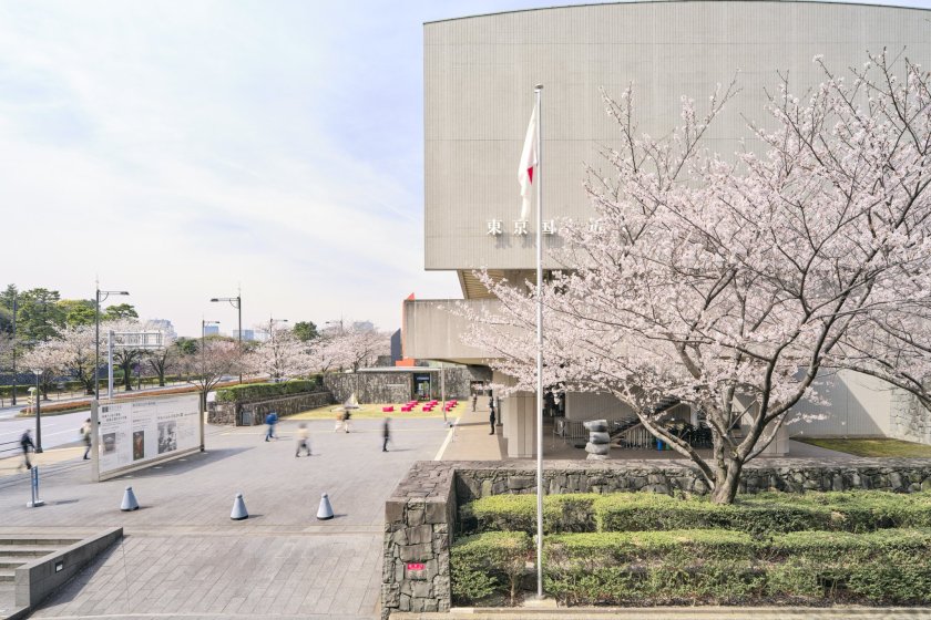 Cherry blossoms beside the National Museum of Modern Art, Tokyo