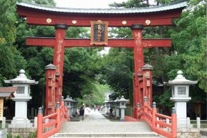 The wooden torii stands almost 11 meters high