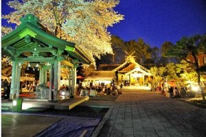Minami Hadano Village Cherry Blossom Festival