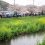 Kokubu River Cherry Blossom Festival 2025
