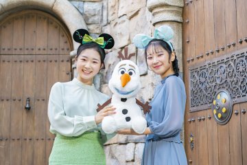 Merchandise for Anna and Elsa’s Frozen Journey