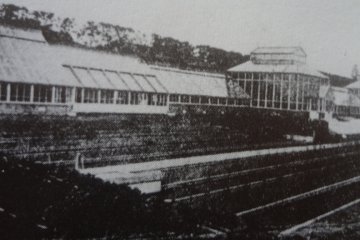 The Enoshima greenhouse.