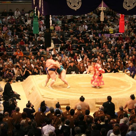 March Grand Sumo Tournament (Osaka) 2025