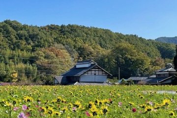 Takamado-no-sato in Autumn