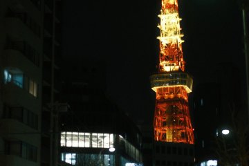 Tokyo Tower view in Minato