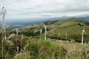 Windmills near the start of the trail