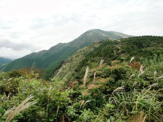Đường mòn Tawarayama nhìn từ xa
