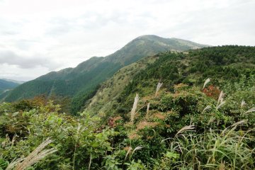 Вид на Тавараяму с расстояния