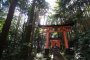 Đi dạo quanh Fushimi Inari