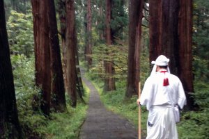 The mountain guide leads his yamabushi followers through the forest and up the mountain.