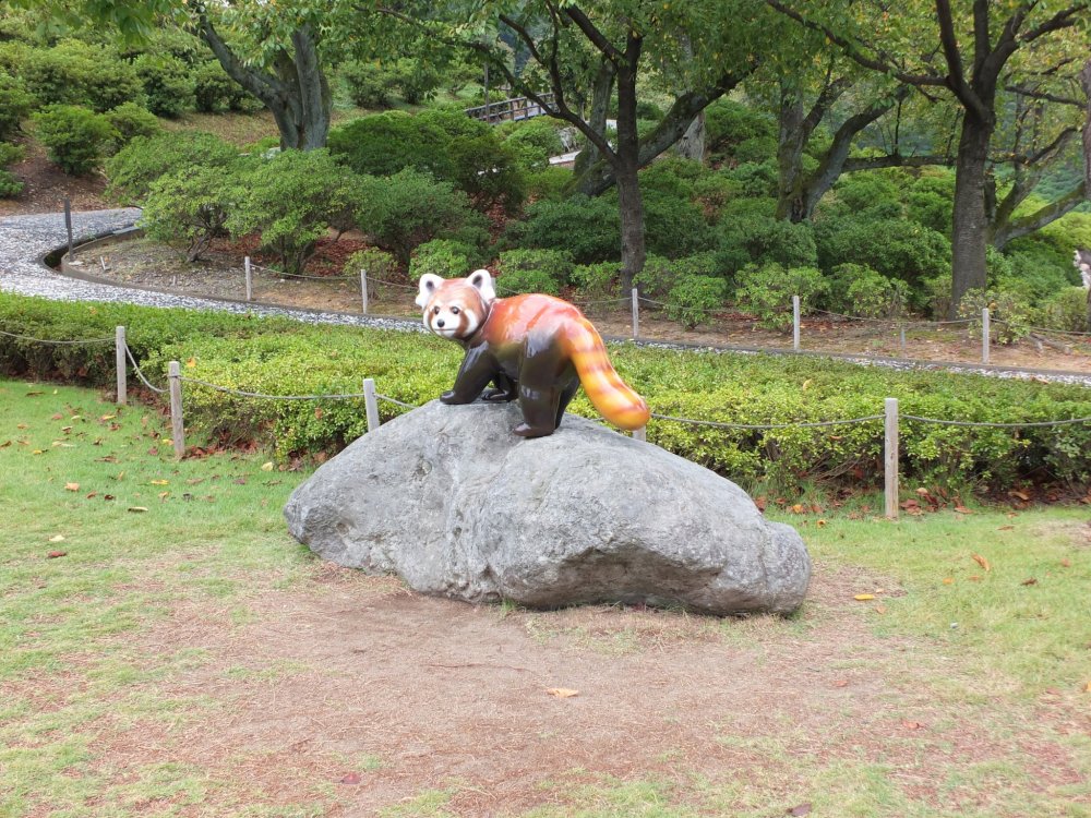 Sở thú trong công viên được biết đến với tên Lesser Panda, hay Red Panda