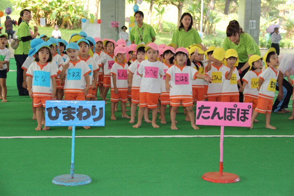 Bọn trẻ được chia thành các nhóm theo độ tuổi và được chỉ định bằng màu sắc với tên nhóm khác nhau, ở đây các himawari (hoa hướng dương) xếp hàng bên cạnh tanpopo (bồ công anh)