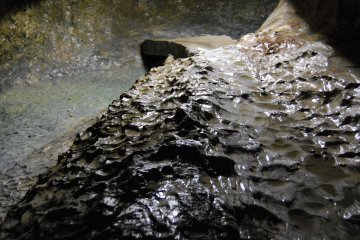 Unique erosive patterns in rock and small footbridge over subterranean stream in background.
