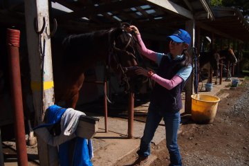 Thank you Akiko-san for a very enjoyable horse-riding session!