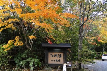 료칸 간판 위에 나무가 아름답게 걸려 있다.