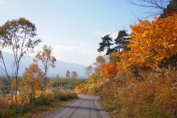 The autumn foliage was beautiful on Fujimi Bokyo Park. We were on an automatic cart that drove us up 1420m!