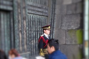 Imperial Palace Guard