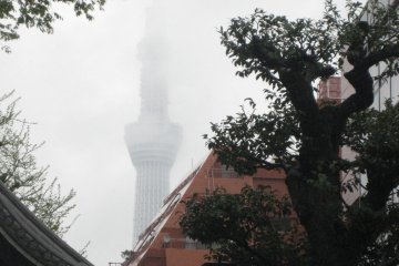 <p>Even Skytree looked ghostly. This is one tour where rain and fog make things all the better. Be sure to dress for the weather, and for walking.</p>