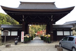 京都乃木神社