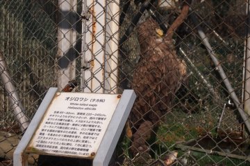 Protection facility for injured birds.