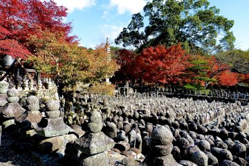 More than 800 stone statues sit close together