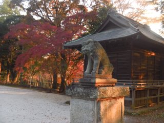 Ngày mùa thu sắc sảo tại đền Kannon.
