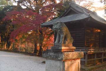 Crisp fall day at Kannon Temple.