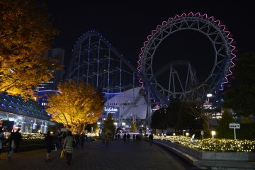 <p>The Thunder Dolphin is listed as one of the top 10 rollercoasters (TIME list)&nbsp;in the world!&nbsp;</p>