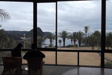 <p>The view out from the lobby</p>