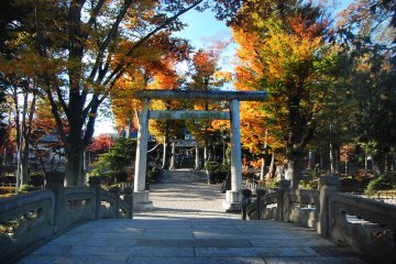Torii and sando or main street to the shrine.