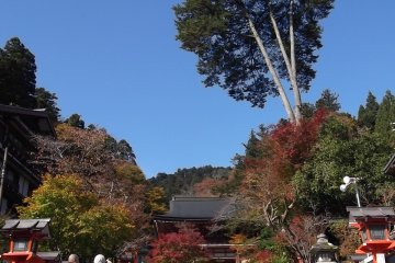 <p>The steps up to Kurama temple</p>