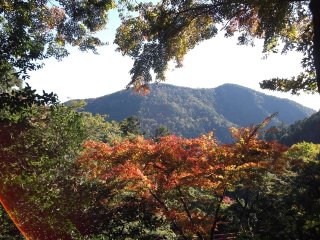 Inilah pemandangan yang Anda dapatkan saat berjalan-jalan di Kurama