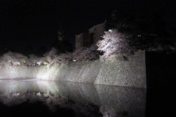 <p>ซากุระภายใต้แสงไฟในปราสาทฟุกุอิตอนกลางคืน แม่น้ำในคูเมืองสะท้อนภาพต้นซากุระ</p>