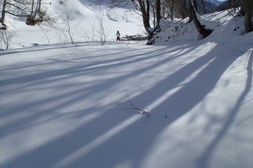 <p>Shadows dance along the untouched snow</p>