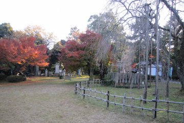 Inside Asuwa Shrine grounds