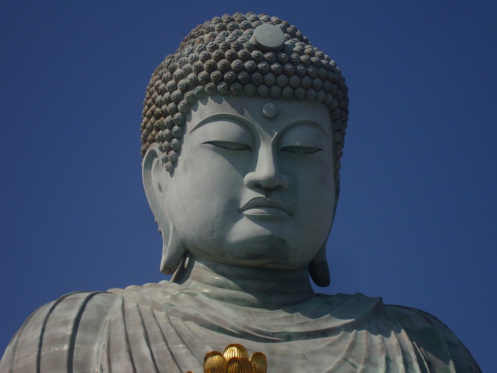 The Nofukuji&nbsp;Temple,&nbsp;which houses the Great Buddha, is located&nbsp;in an unusual suburb, very quiet and virtually no crowds. The idol sits on a lotus flower signifying&nbsp;the most important Sutra of Buddhism, The&nbsp;Lotus Sutra. The Lotus Sutra implies&nbsp;that nothing in world is permanent&nbsp;and the ability for all beings to gain enlightenment.