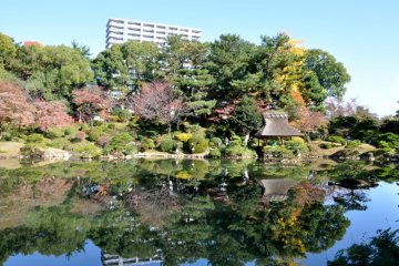 Visiting Shukkei-en Garden