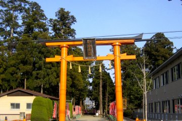 <p>Torii gate at the western entrance to Takekoma Inari.</p>