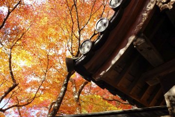 <p>The temple is truly lovely in autumn</p>