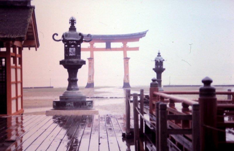 Torii or Torii gate in the mist