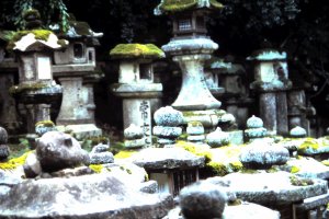 The ancient stone lanterns stand in line