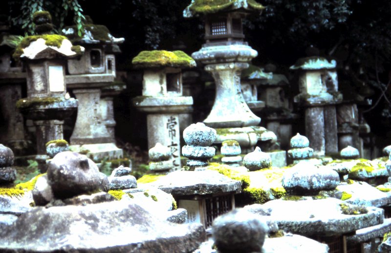 <p>The ancient stone lanterns stand in line</p>
