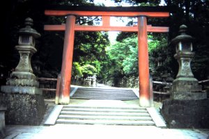 Cánh cổng torii của đền Kasuga Taisha