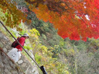 日本人の老夫婦、男性の方が秋の紅葉写真を撮っている。関西ではよくあることだが、地元の人々はとてもフレンドリーだ; すぐに会話が始まり、道のりを共にできる