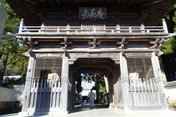 <p>Main Gate</p>