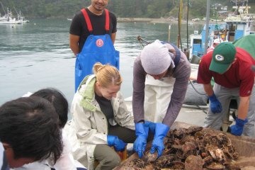 <p>Learning how to clean a scallop.</p>