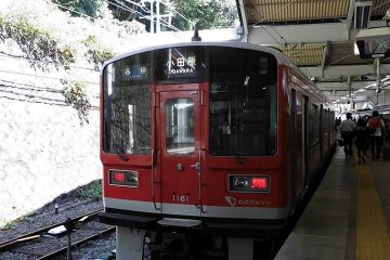 <p>รถไฟไต่เขาที่จะพานักท่องเที่ยวไปสู่สถานี Gora ค่าใช้จ่ายประมาณ 800 円</p>